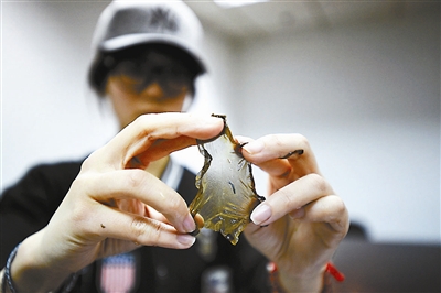 塑料紫菜 谣言疯传 多家紫菜厂商接到勒索电话