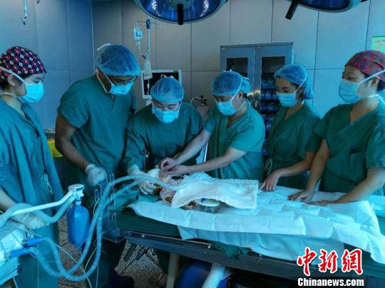 藏族烧伤女婴在帮扶地获免费手术救治 藏族烧伤女婴在帮扶地获免费手术救治