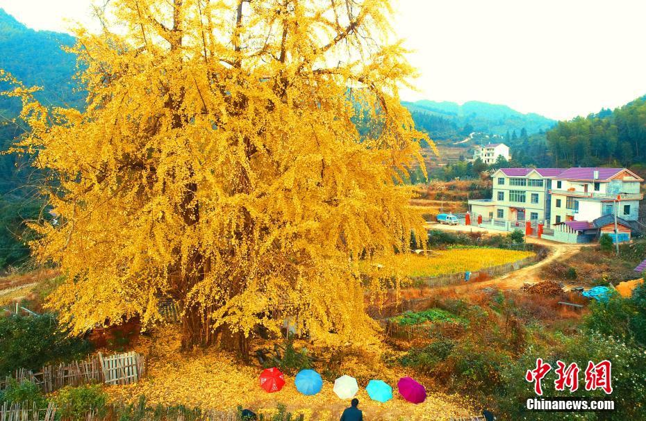 山西新绛：21名干部因高义钢铁违法倾倒废渣问题被追责