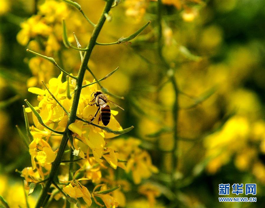 最高检史上首份检察建议书为何发给教育部
