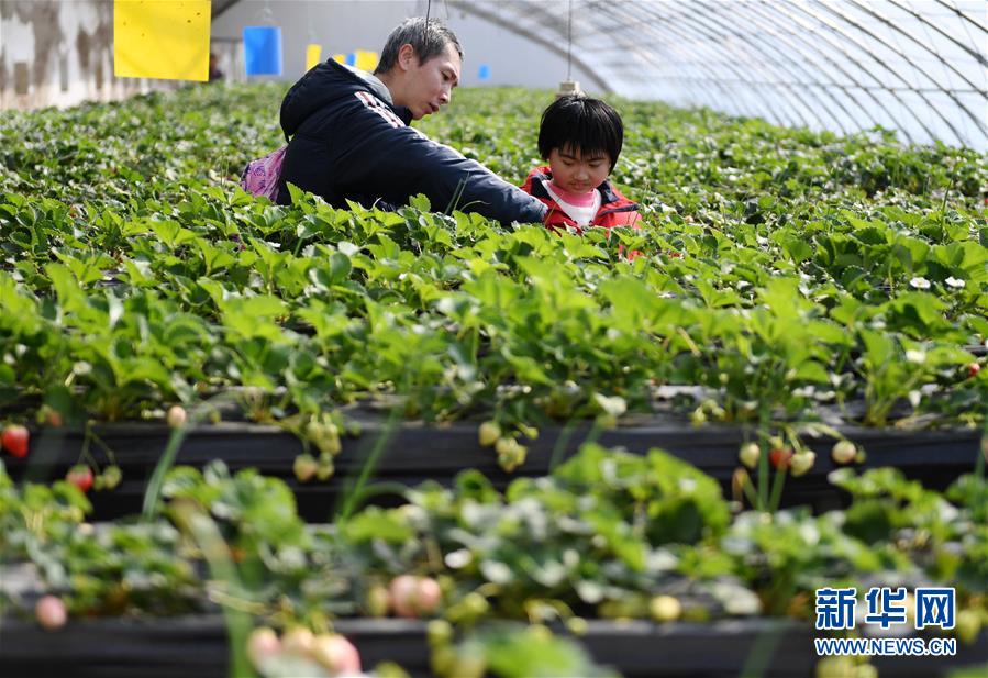 宁夏食药监局曝光7批次不合格产品
