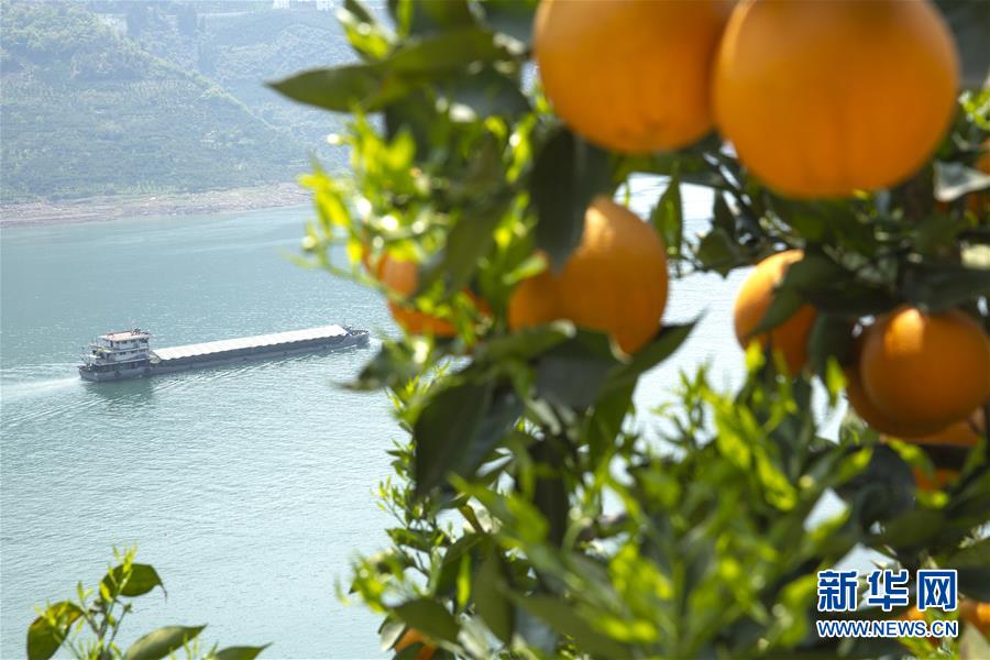 中央扫黑除恶督导组进驻天津吉林云南三地