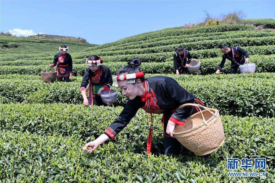 副县长携部下嫖娼 被派出所司机等轮番敲诈超