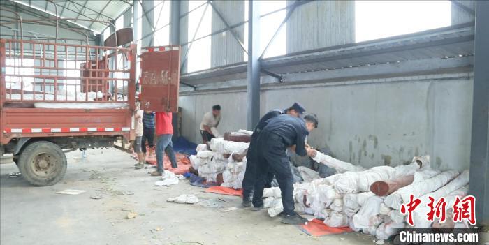云南臨滄警方在中緬邊境查獲走私名貴木材4.5噸