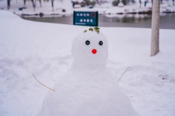 南方人!东北雪有多厚?图亮了!