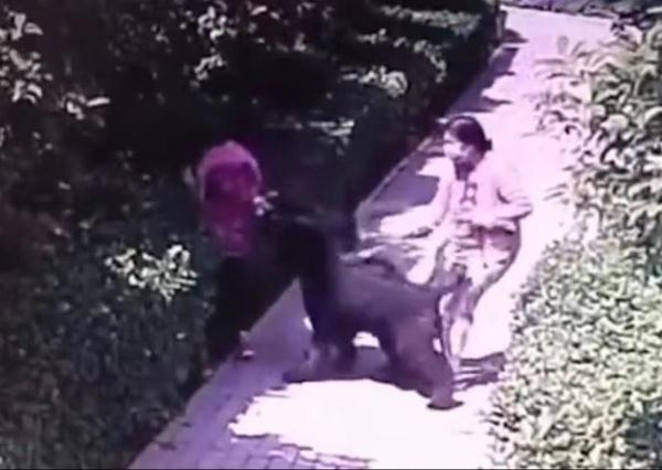 安阳"狗咬人"案牵狗女子被曝诈骗百万,受害人:当年找亲友才凑齐钱