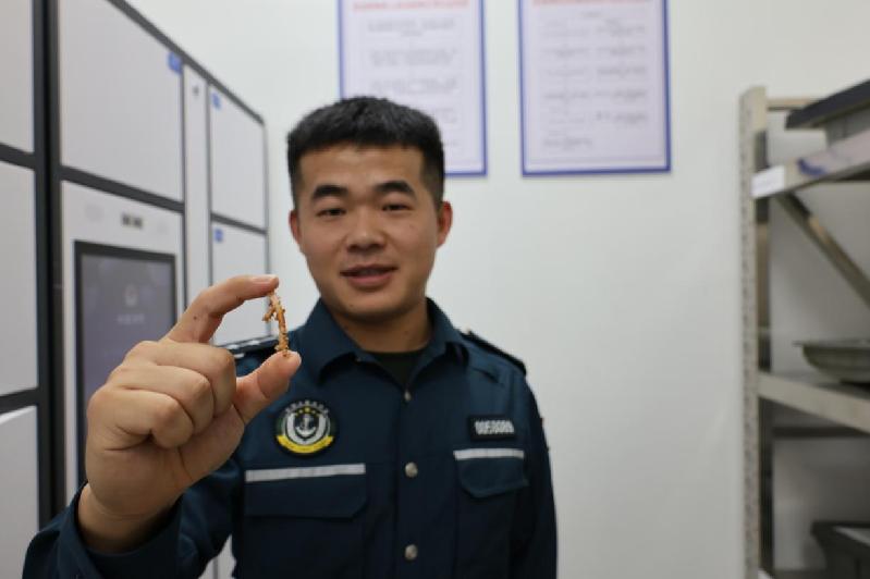六道选择题，看海警执法员如何交出满分廉洁答卷