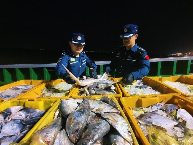 南通海警局夜间查获非法捕捞，涉案渔获物超4000斤