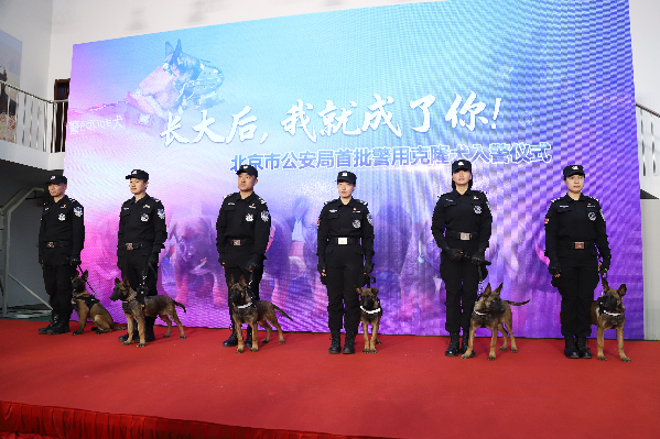 北京市公安局首批警用克隆犬入警