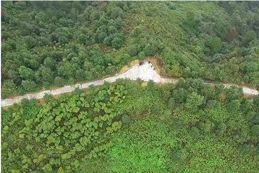 重庆首个生态司法修复基地 为三峡库区青山绿水保驾护航