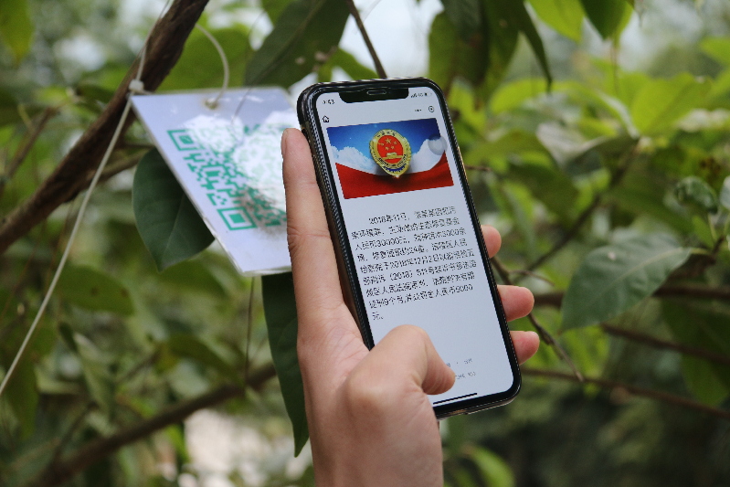重庆首个生态司法修复基地 为三峡库区青山绿水保驾护航