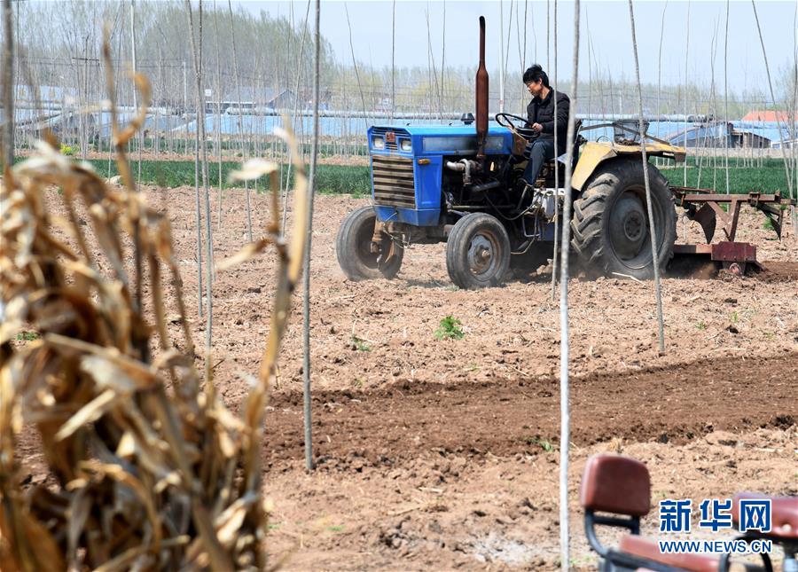 新华微评：依法查明真相，给社会一个交代