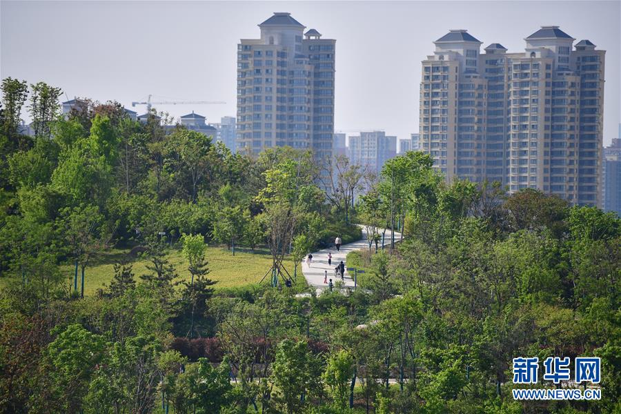 新华微评：依法查明真相，给社会一个交代