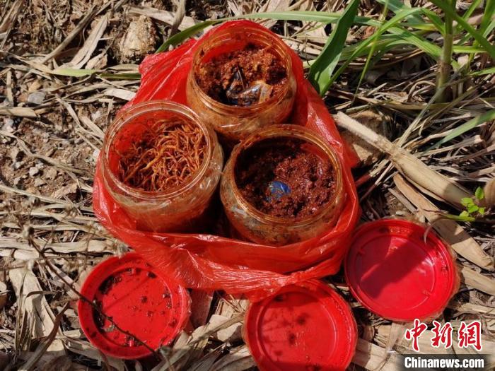 云南普洱警方公布多起毒品案：茶叶书籍油管均成藏毒工具