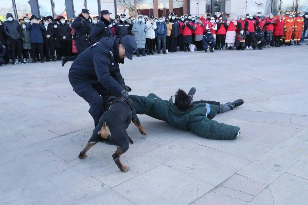 一品平台知识产权官网北京市房山公安分局开展系列活动，庆祝中国人民警察节