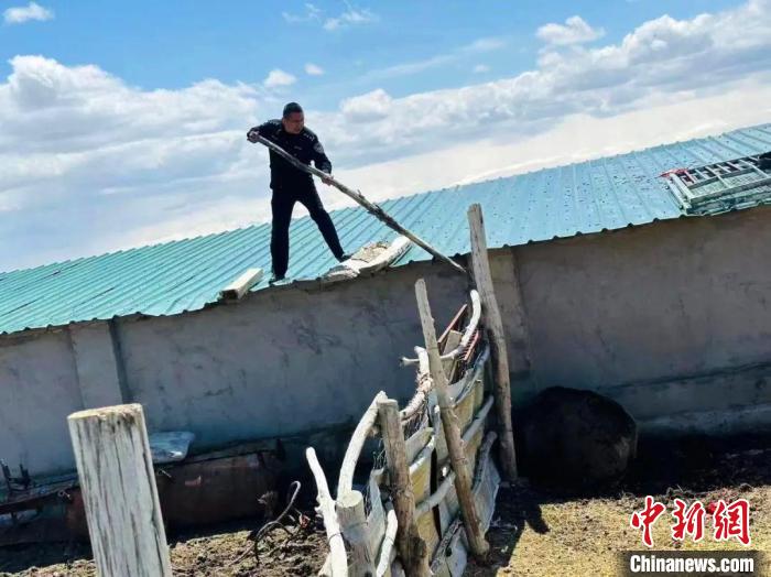 新疆牧民家中上演现实版“熊出没” 民警紧急救援“请”它回山