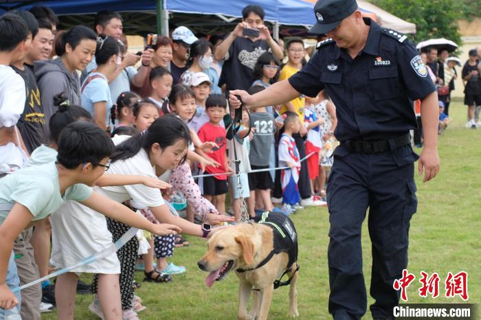 广西柳州：警犬训练基地迎来“警娃”