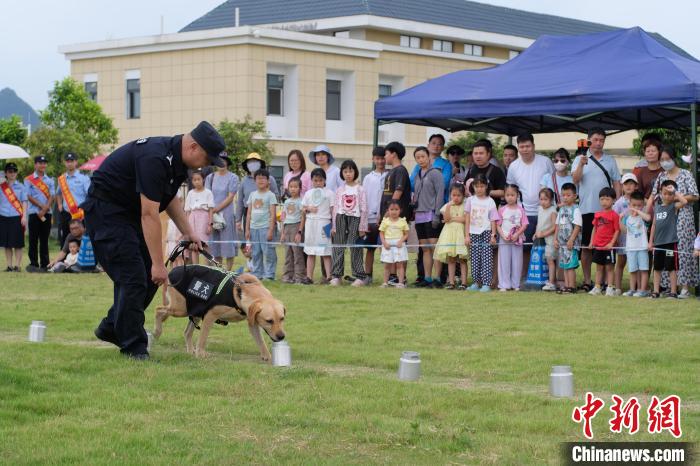 广西柳州：警犬训练基地迎来“警娃”