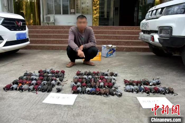 广西男子捕捉野生鸟被抓 96只鸟类幸免于“烧烤”