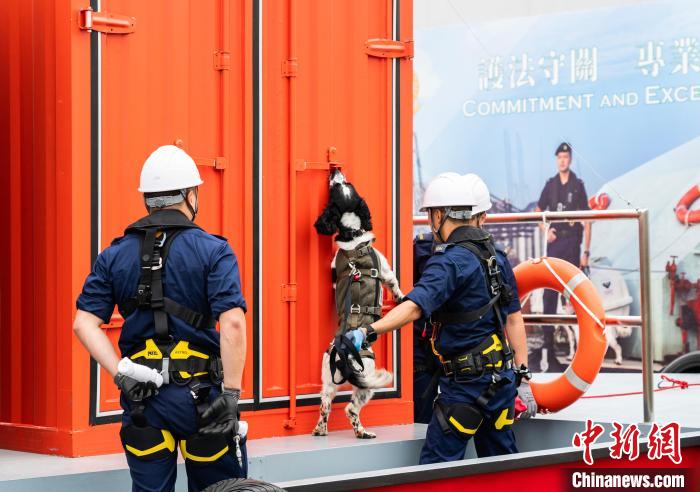 世界海关组织地区犬只训练中心在香港投用