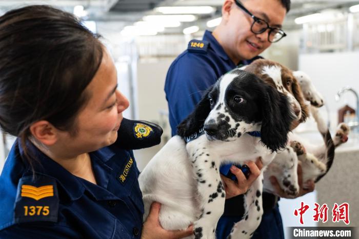 世界海关组织地区犬只训练中心在香港投用