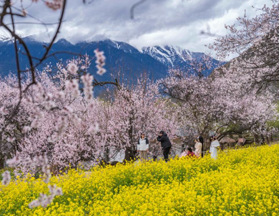 中缅警方首次在缅北木姐开展联合行动352名电诈嫌疑人被移交中方