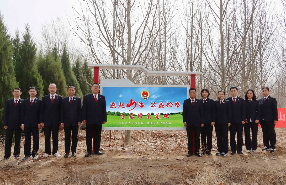 从“办理一件案”到“修复一片山”