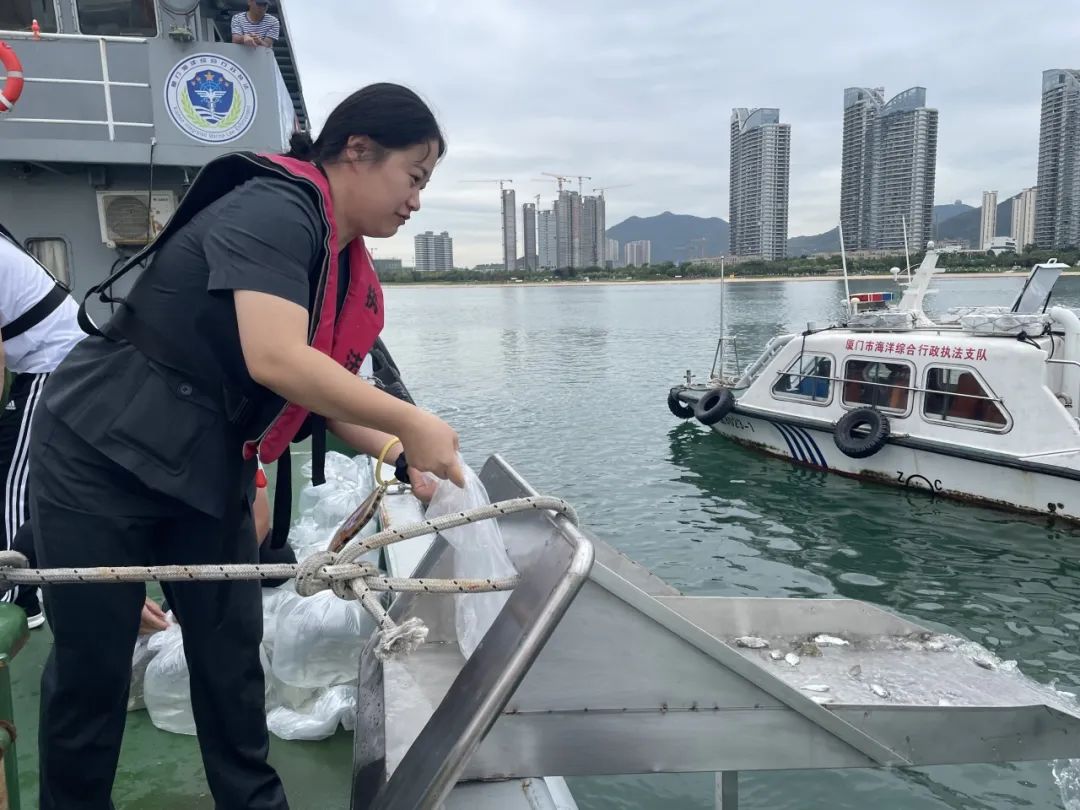 六五环境日 | 法治利剑护“生态筼筜”