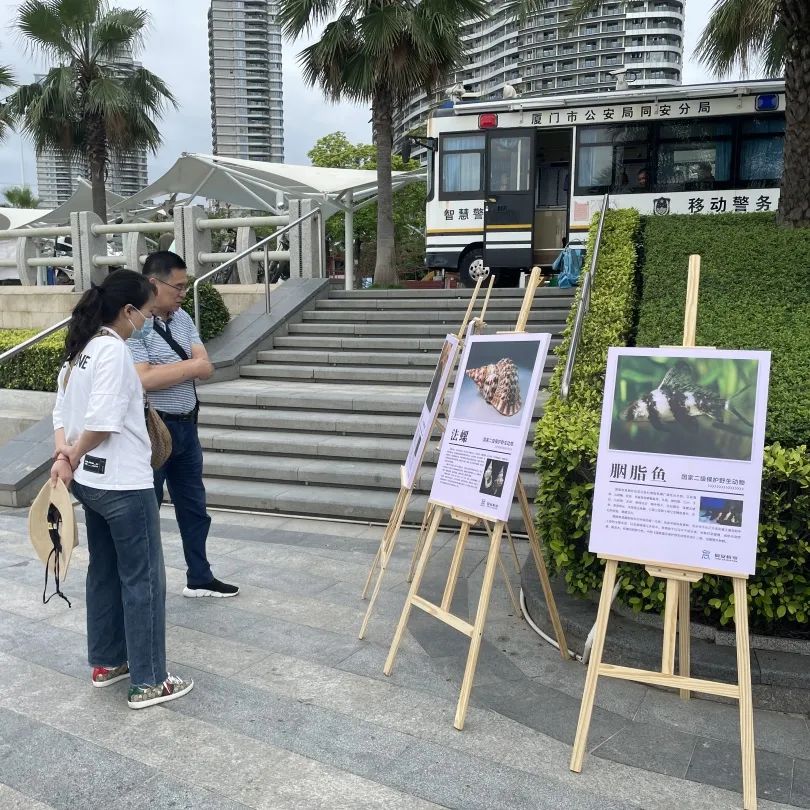 六五环境日 | 法治利剑护“生态筼筜”