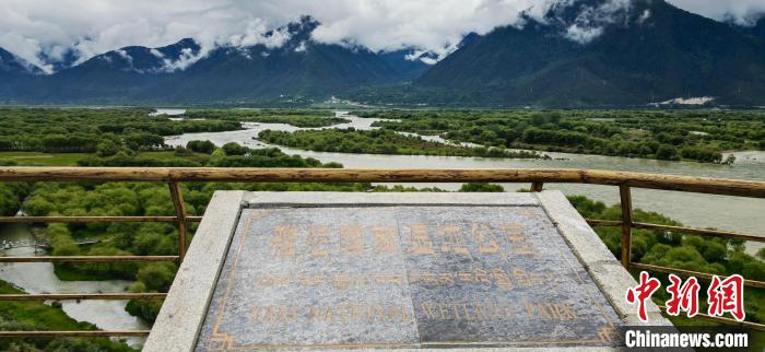 探访雅尼国家湿地公园：534种野生植物、234种野生动物分布于此