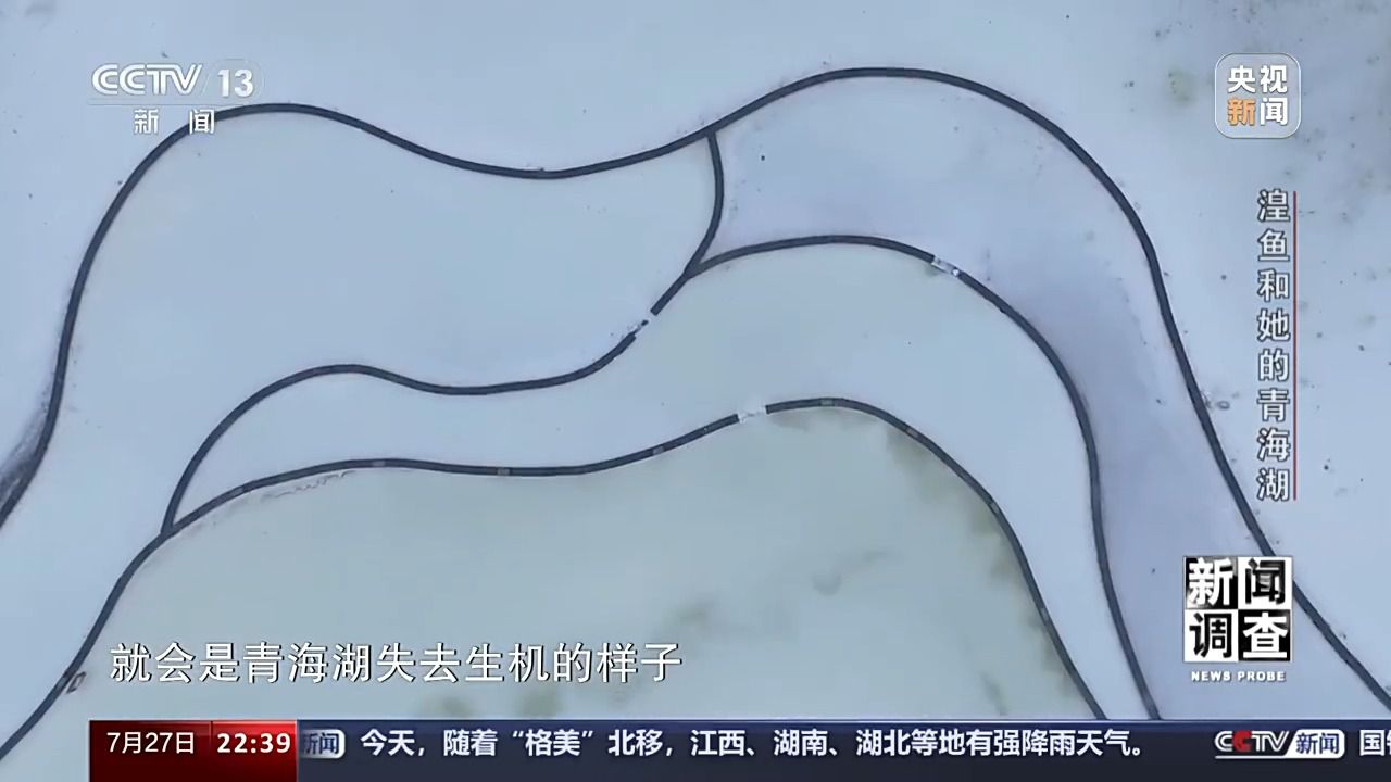 拯救濒危湟鱼 青海湖如何再现半河清水半河鱼？