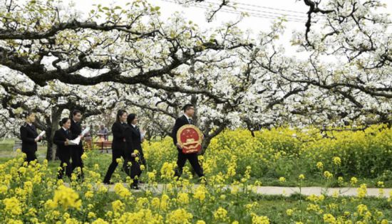 江苏徐州：筑造基层解纷“桥头堡”