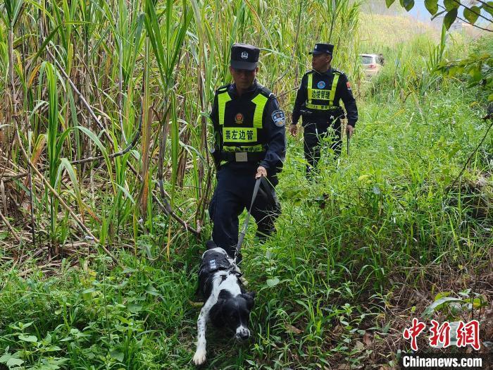 广西崇左破获特大毒品运输案 抓获1人缴毒约0.7公斤