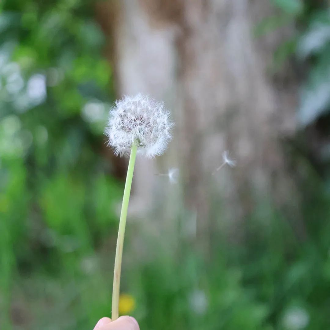 小案大理 | 别让房屋漏水“凉了”邻里情