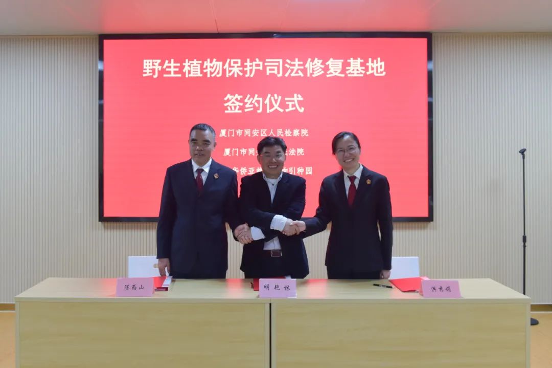 金豆“回家”漫游记