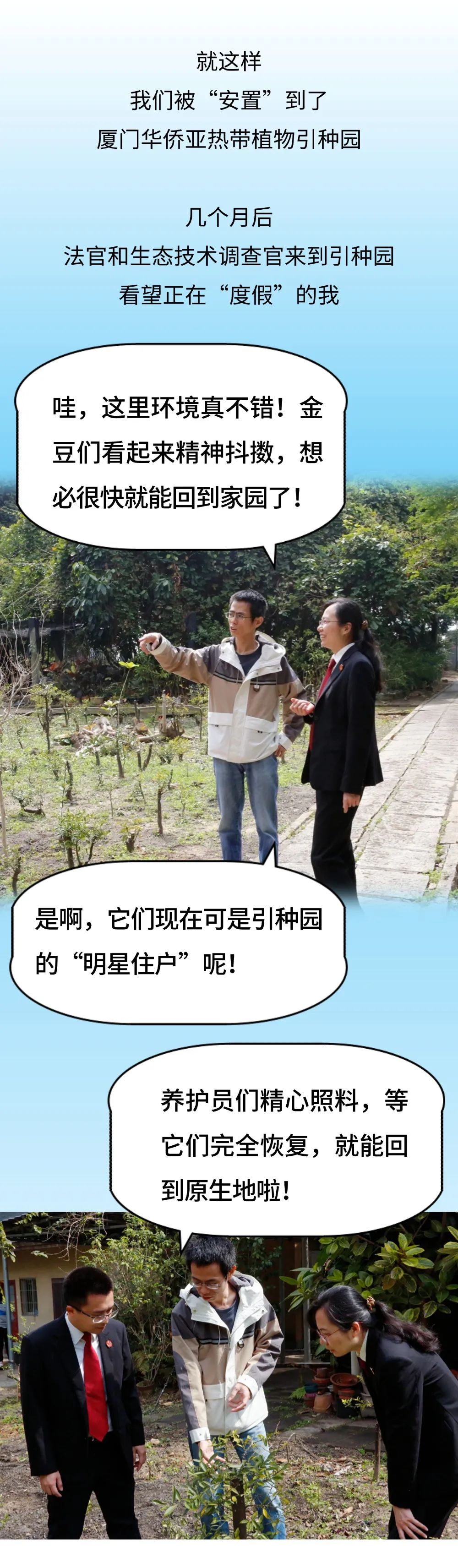 金豆“回家”漫游记