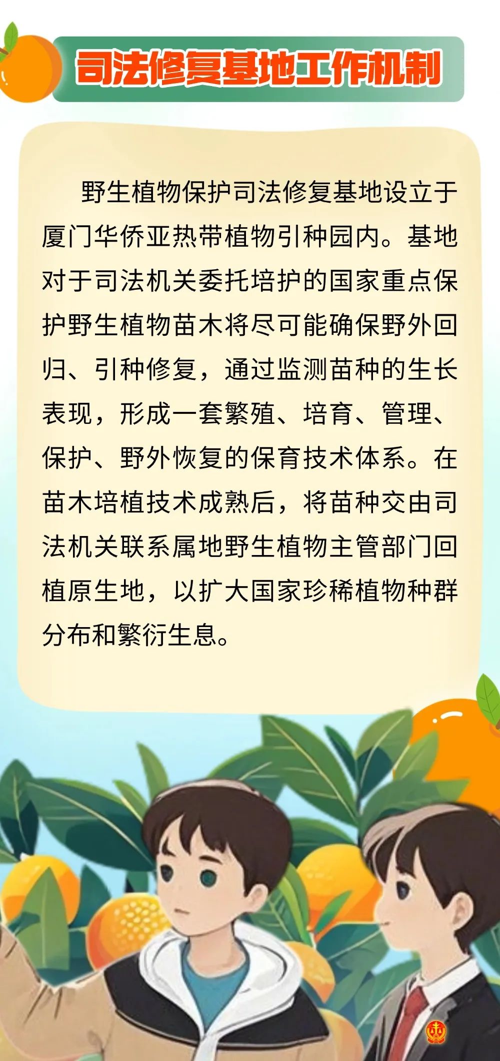 金豆“回家”漫游记