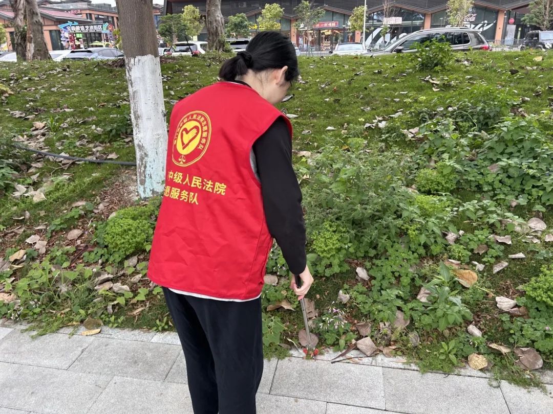 五四燃薪火，司法绽芳华——法院青年的别样五四之旅