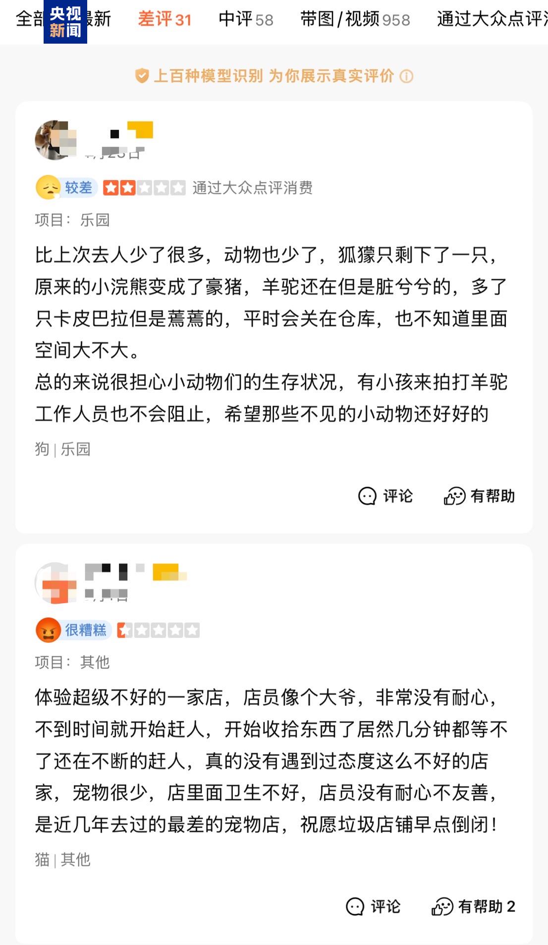 卡皮巴拉、羊驼入驻商场、写字楼 究竟暗藏哪些隐患？