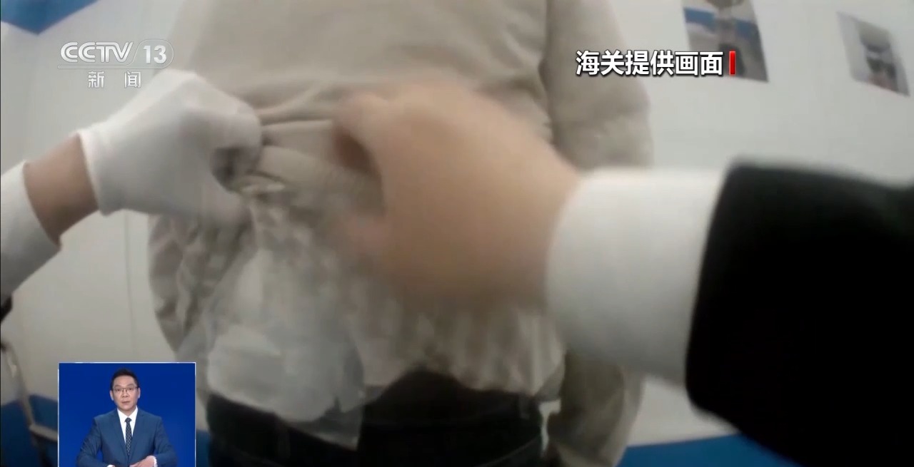 @铲屎官们 养“异宠”或危害国家安全 这些行为违法了