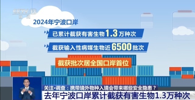 @铲屎官们 养“异宠”或危害国家安全 这些行为违法了