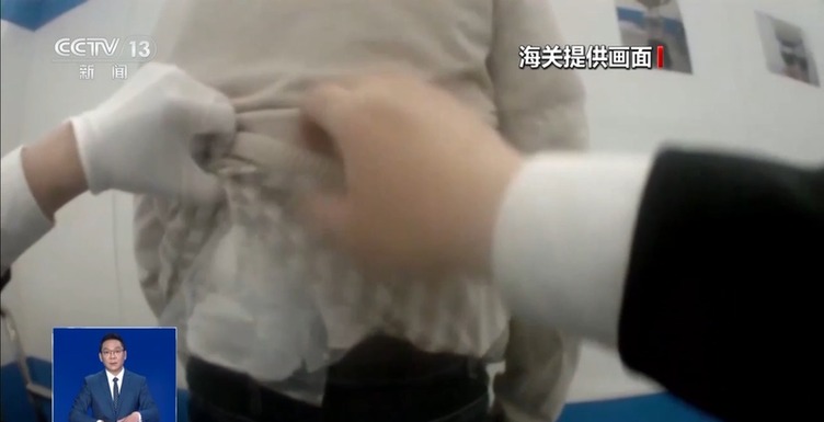 @铲屎官们 养“异宠”或危害国家安全 这些行为违法了