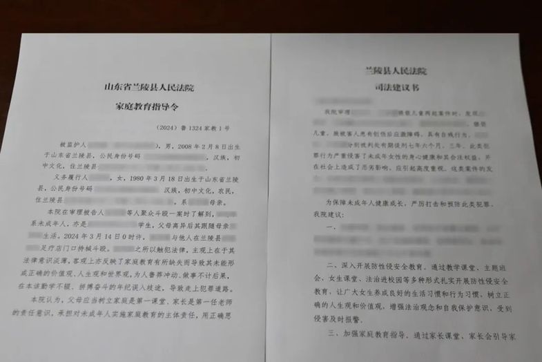 山东兰陵法院：少审六维发力 绘写兰陵枫景