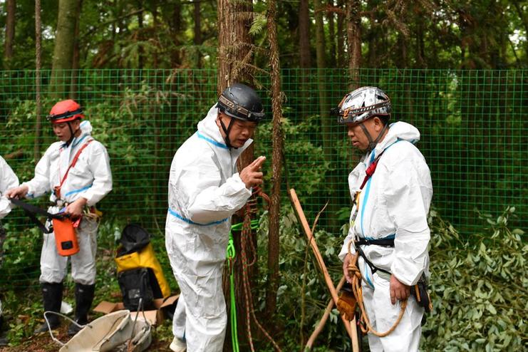 新华调查丨溶洞为何成“垃圾桶”？——湖南慈利溶洞污染调查