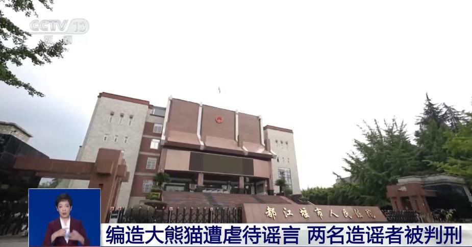 编造“大熊猫遭虐待”博流量 非法获利近20万 两人被判刑