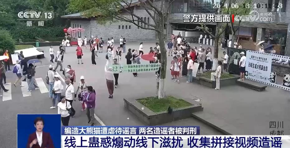 编造“大熊猫遭虐待”博流量 非法获利近20万 两人被判刑