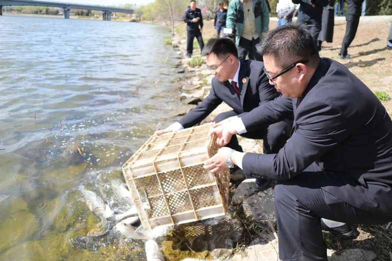党建引领 益心赋能——通州区检察院以“运河灯塔”品牌建设引领副中心公益诉讼检察事业高质量发展