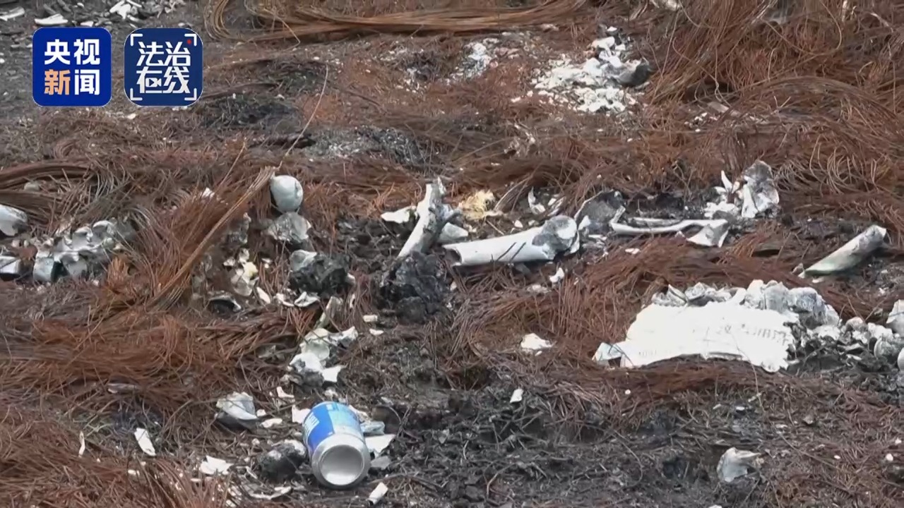 法治在线丨致我国公民6人死亡 缅北白家犯罪集团专案细节曝光