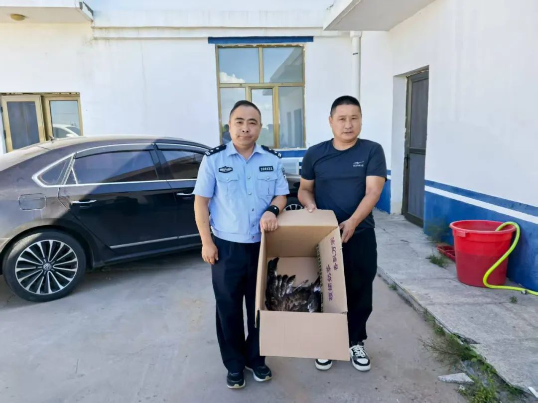 警民共护生态线 国家级保护动物重返蓝天
