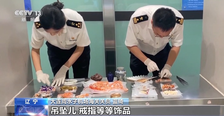 行李内藏乌龟、鳄鱼 海关查获多只濒危活体动物